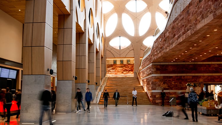 Communicatie nieuwbouw Naturalis verliep vlekkeloos